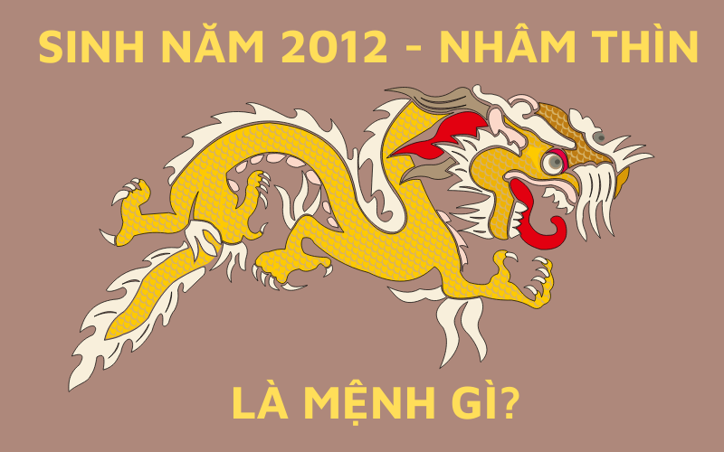 Người Sinh Năm 2012 Mệnh Gì? Giải Đáp Thắc Mắc Người Sinh Năm 2012