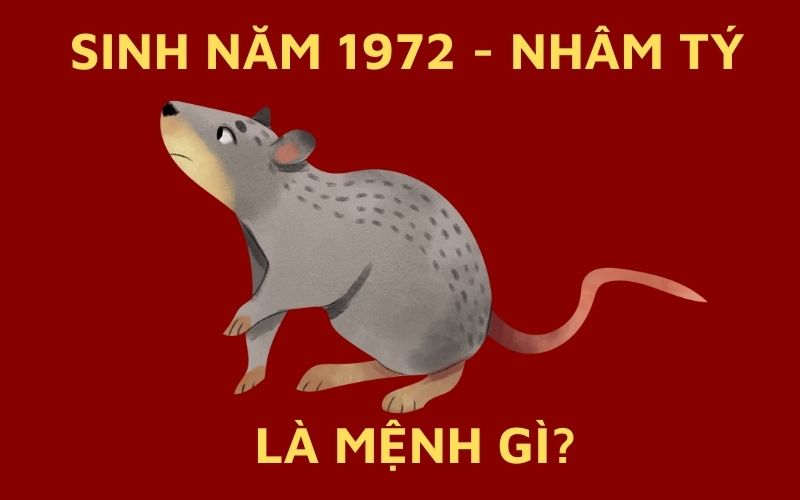 Sinh Năm 1972 Mệnh Gì? Tử Vi Trọn Đời Người Sinh Năm 1972