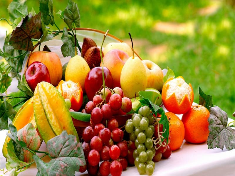 Mơ ăn trái cây tượng trưng cho con số nào? Giải mã sổ mơ ăn trái cây
